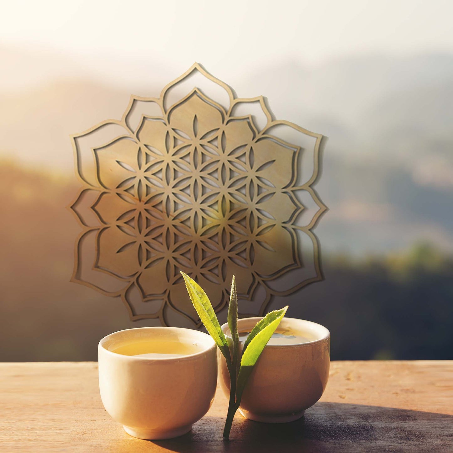 Thiền hoa sen | Thiền Gỗ | Thiengo.com.vn